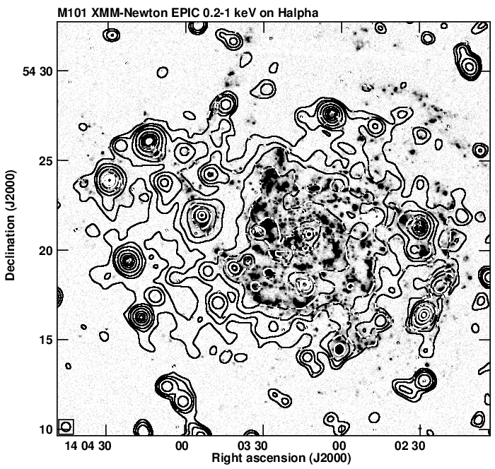 Figure 4: Contours of the soft X-ray emission from M101 overlaid on the Hα map. 