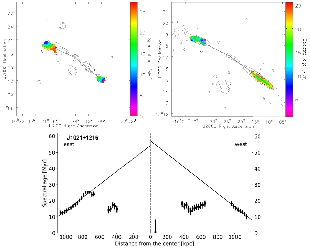 Illustration 2: Upper panel: Spectral age maps of the DDRG J1021+1216. The line marks a cross-section through the source. Upper left panel: Spectral age of the outer double. Upper right panel: Spectral age of the inner double. Lower panel: Spectral age profile of J1021+ 1216 performed along the cross-section marked in the upper-level figures. Solid lines indicate the best-fit velocity growth of the old lobes (The Authors).